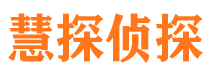 东城侦探公司